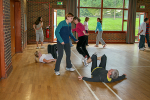 self-defence 2011