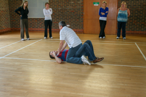 self-defence 2011