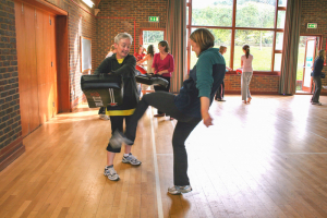 self-defence 2011